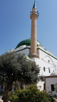 מסגד אלג'זאר