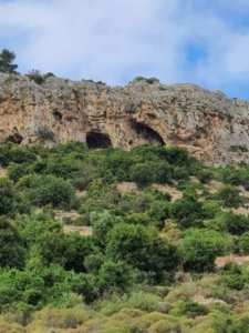 מערות ברכס הכרמל